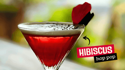 Tale Beer Cocktail: Hibiscus Hop Pop